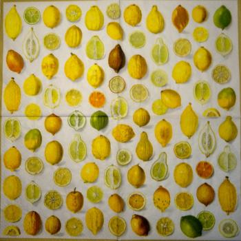 181 Lemons, Oranges - 3-ply